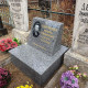 Європейський Пам'ятник баян з овалом № 691858 № 459977